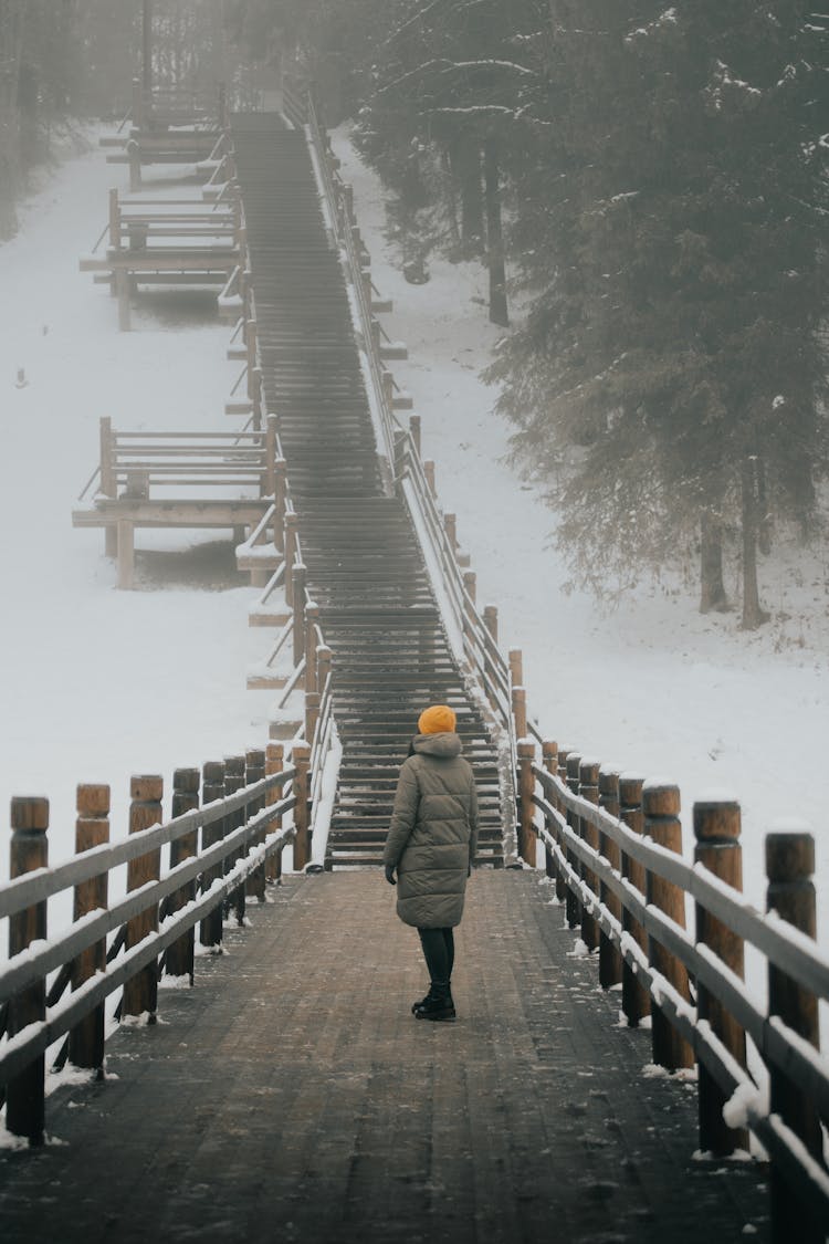 Person Standing On A Wooden Footbridge