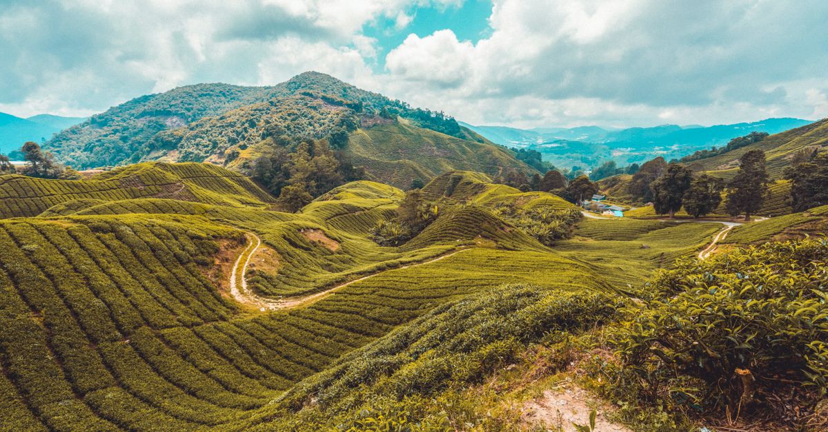 Guía Práctica para Viajar Sosteniblemente a Destinos Únicos