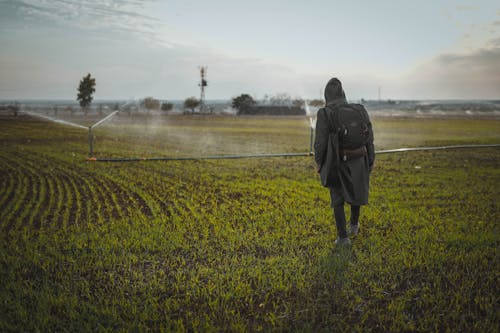 Immagine gratuita di campo d'erba, giacca nera, in piedi