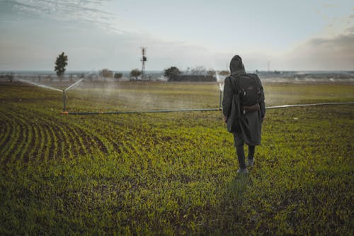 Kostenloses Stock Foto zu grasfläche, person, rückansicht