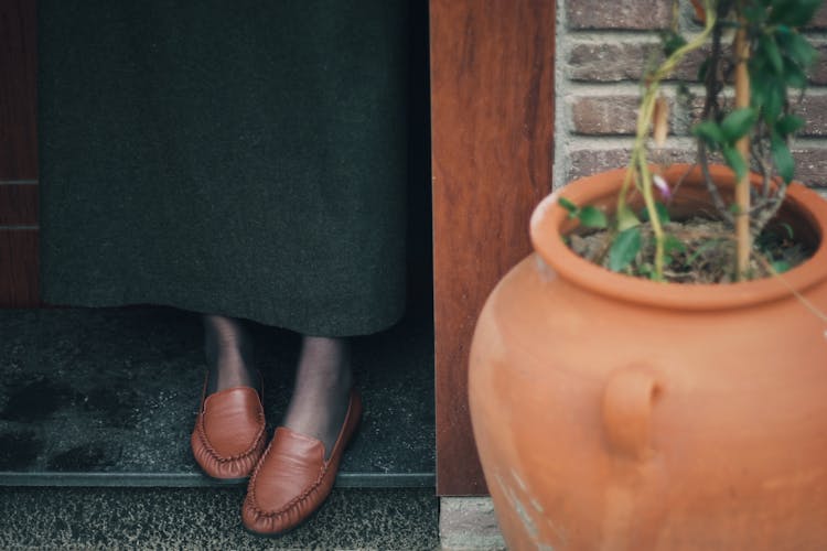 Woman Shoes And Skirt Near Plant In Flowerpot