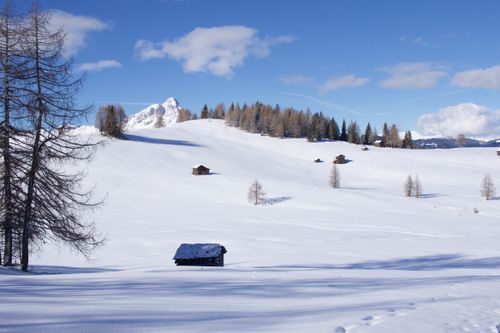 Free Scenic winter landscape in Trentino-Alto Adige, Italy, featuring snow-covered hills and rustic cabins. Stock Photo