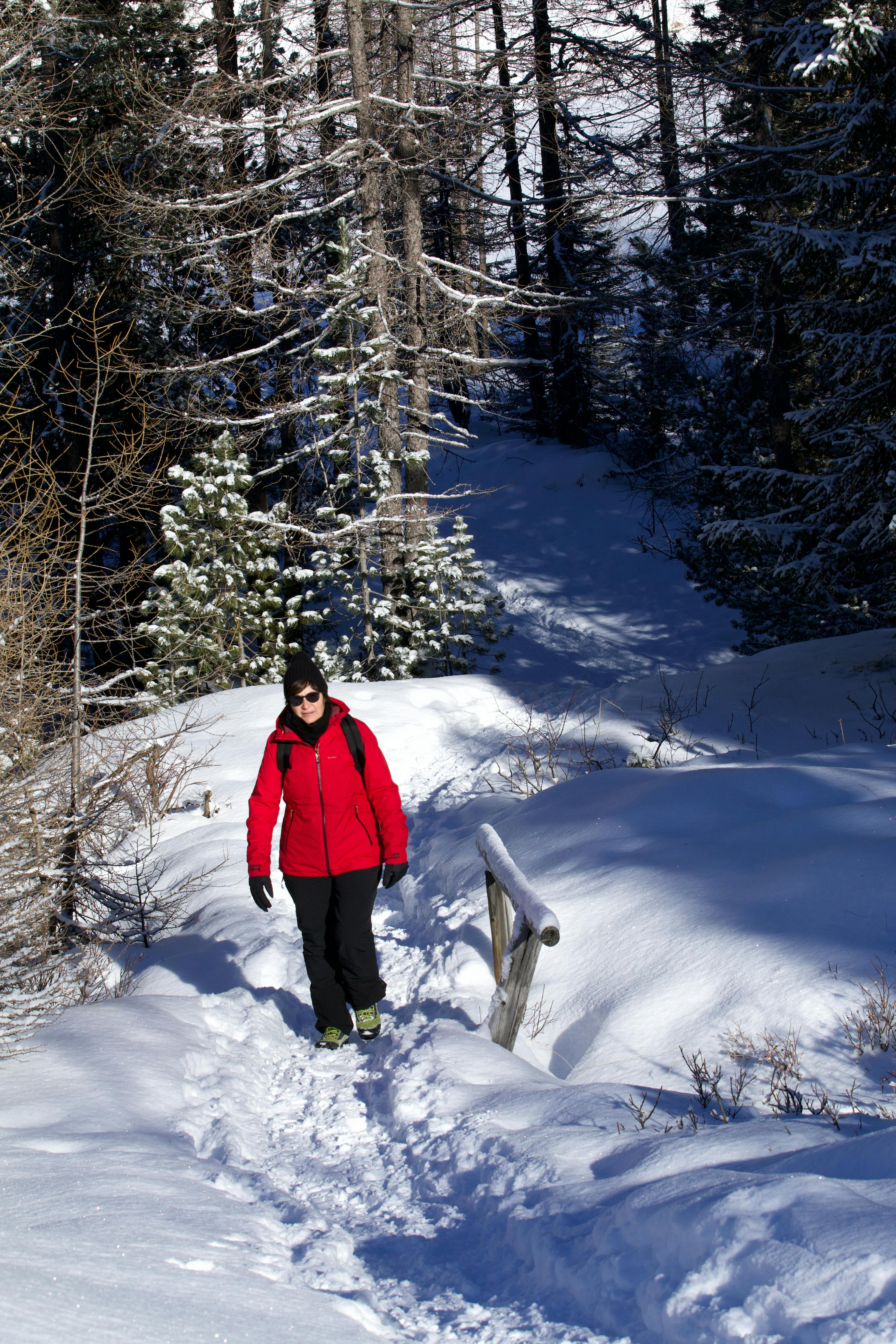 Woman hiking in a red insulated midlayer on a cool autumn forest path