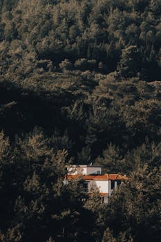 A secluded white house nestled among dense forest trees in Kemalpaşa, İzmir, Turkey.