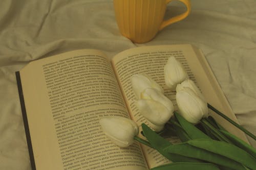 A Flower on a Book · Free Stock Photo