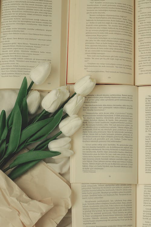 Fotobanka s bezplatnými fotkami na tému biele tulipány, knihy, knižná séria