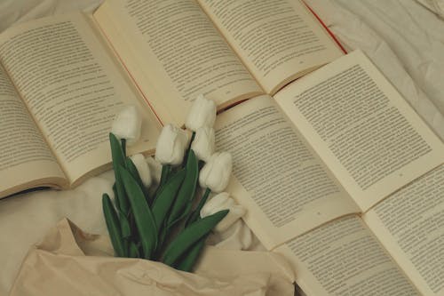 Free White Tulips Flowers on Open Book  Stock Photo