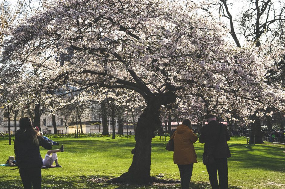 Beautiful London park scene in spring or autumn, ideal for pleasant weather