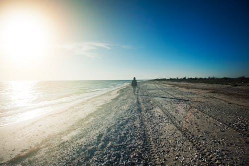 Person Walking on Seashore