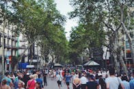 巴塞罗那的一条街道充满活力，挤满了人和树木，展现了城市生活的风貌