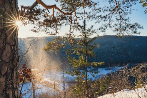 Green Trees on Mountain Near Body of Water with Snow