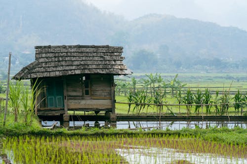 Безкоштовне стокове фото на тему «В’єтнам, вода, дерев'яний будинок»