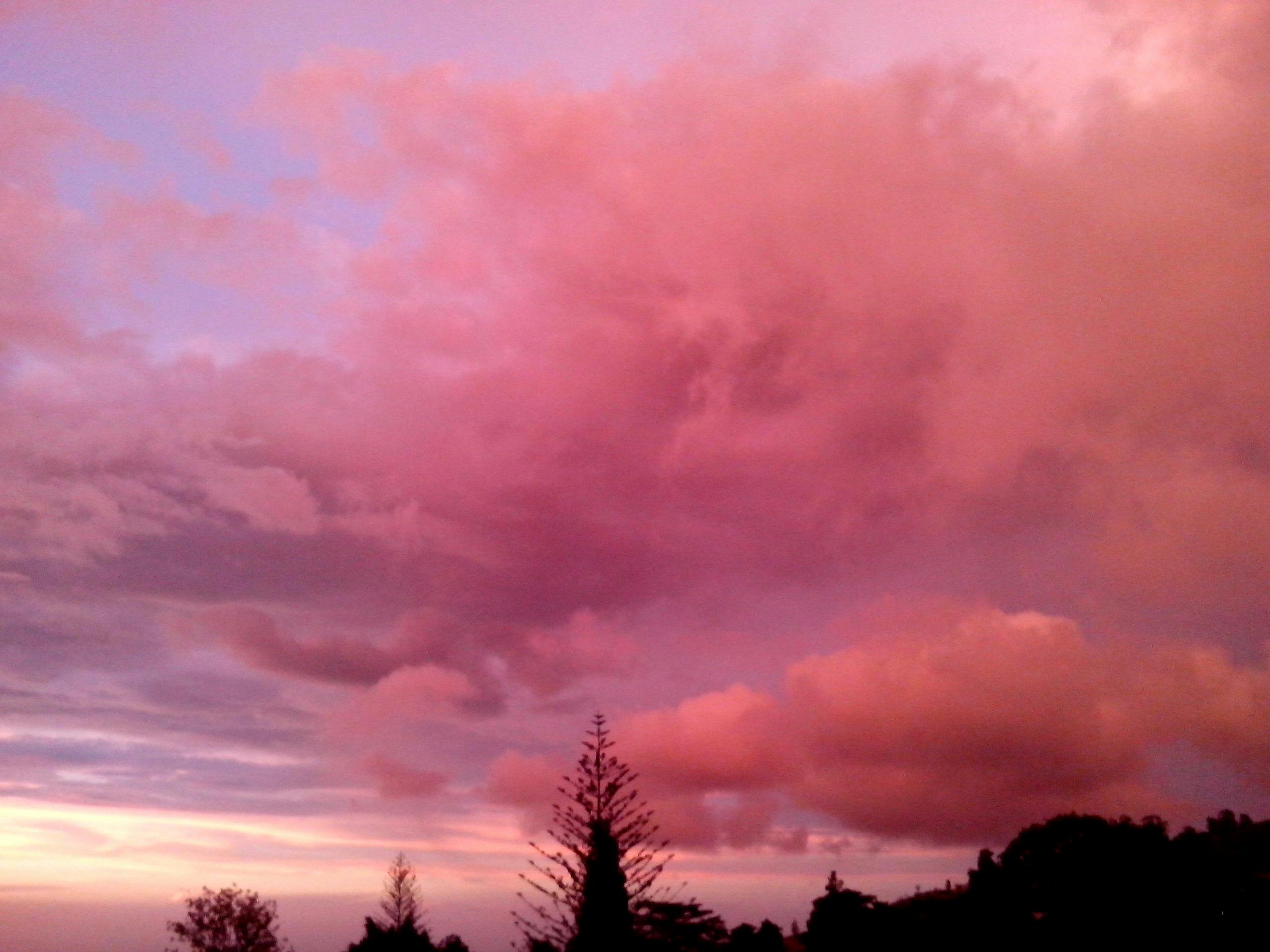 ピンクの夕日 ピンクの雲の無料の写真素材