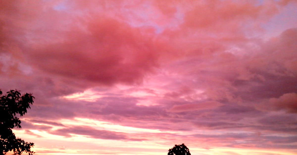 ピンクの空 ピンクの雲 守るの無料の写真素材