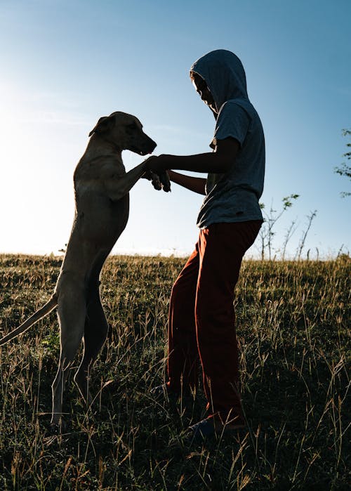 Základová fotografie zdarma na téma dítě, domácí mazlíček, hřiště