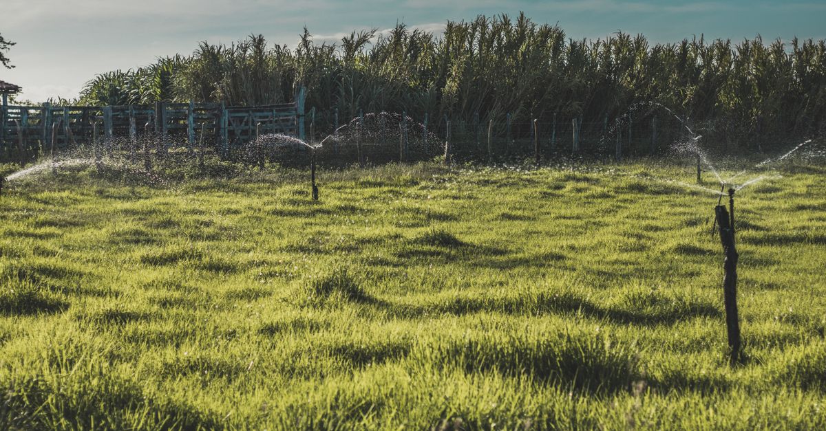 Impactos e relevância — Inadimplência do agronegócio na Caixa passa de 20,7% — imagem ilustrativa