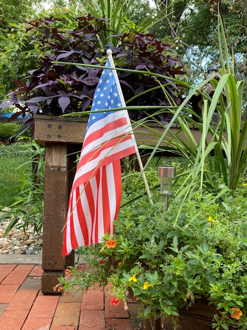 Gratis stockfoto met 4th of july, achtererf, amerikaanse vlag