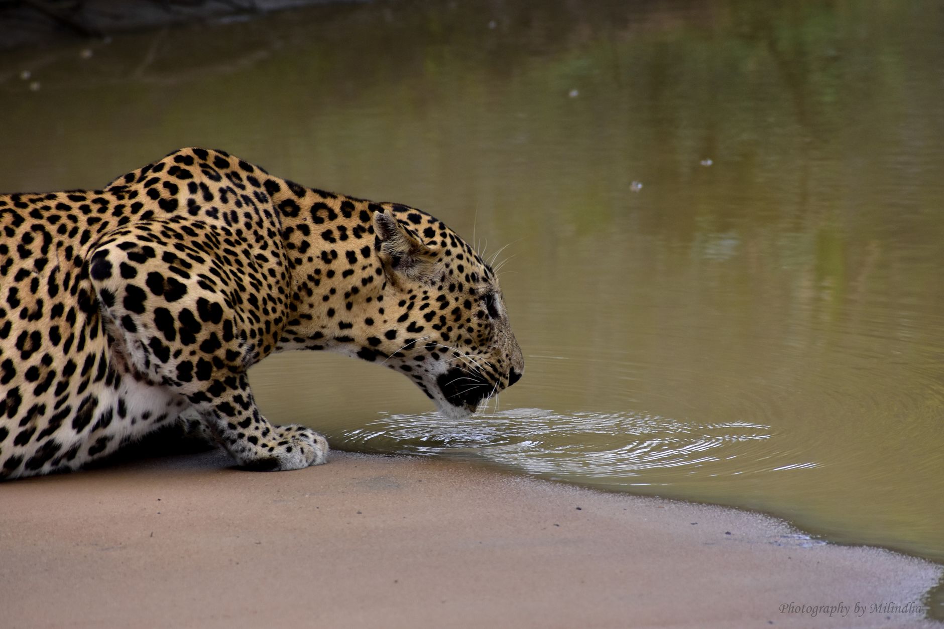 Popular sights in Yala National Park Landmarks in Yala National Park