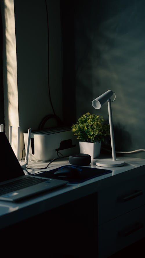 Free Work Space with Laptop Table Lamp and Potted Plant Stock Photo