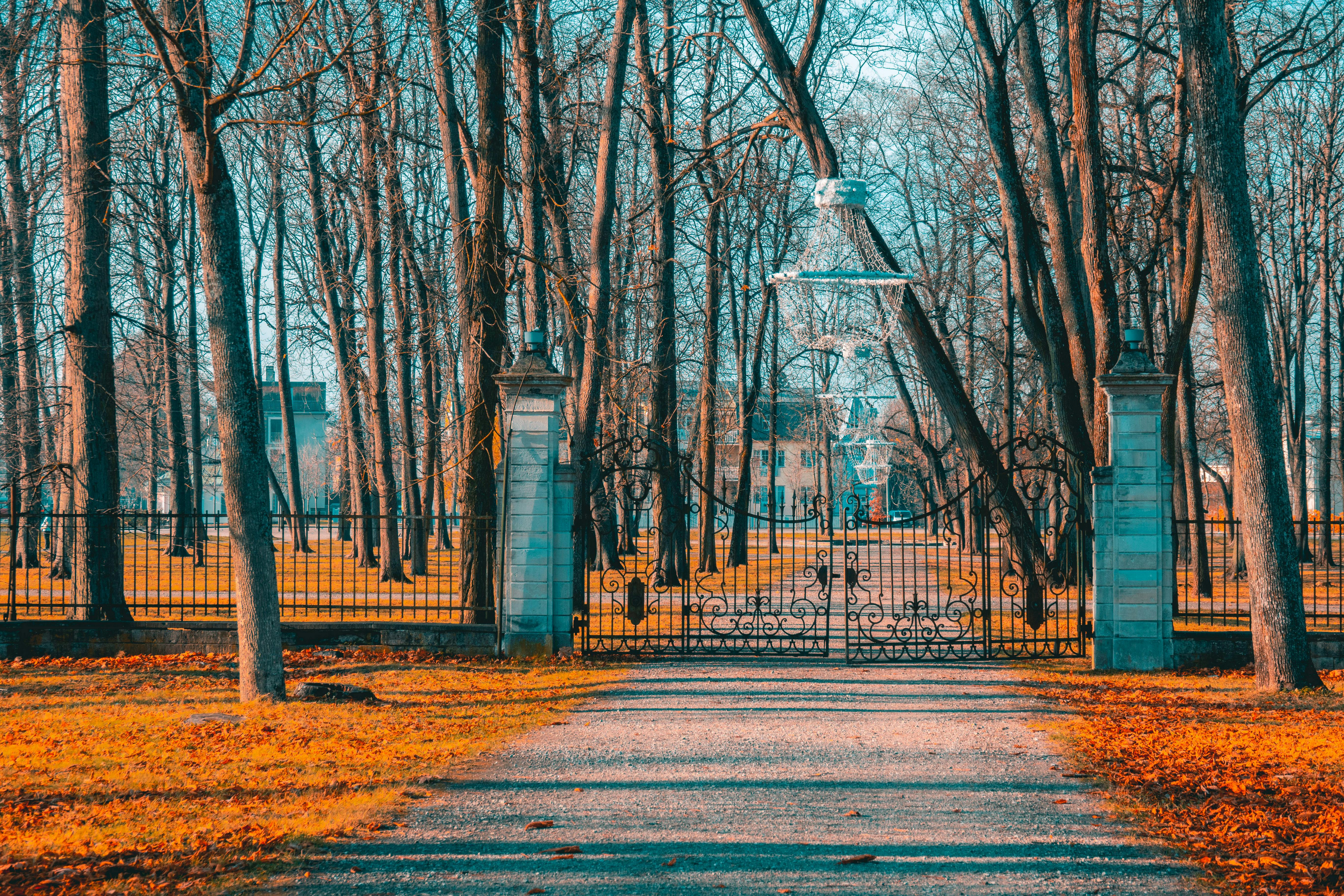 A picturesque gate entrance in Tallinn, Estonia framed by autumn trees and historic architecture.