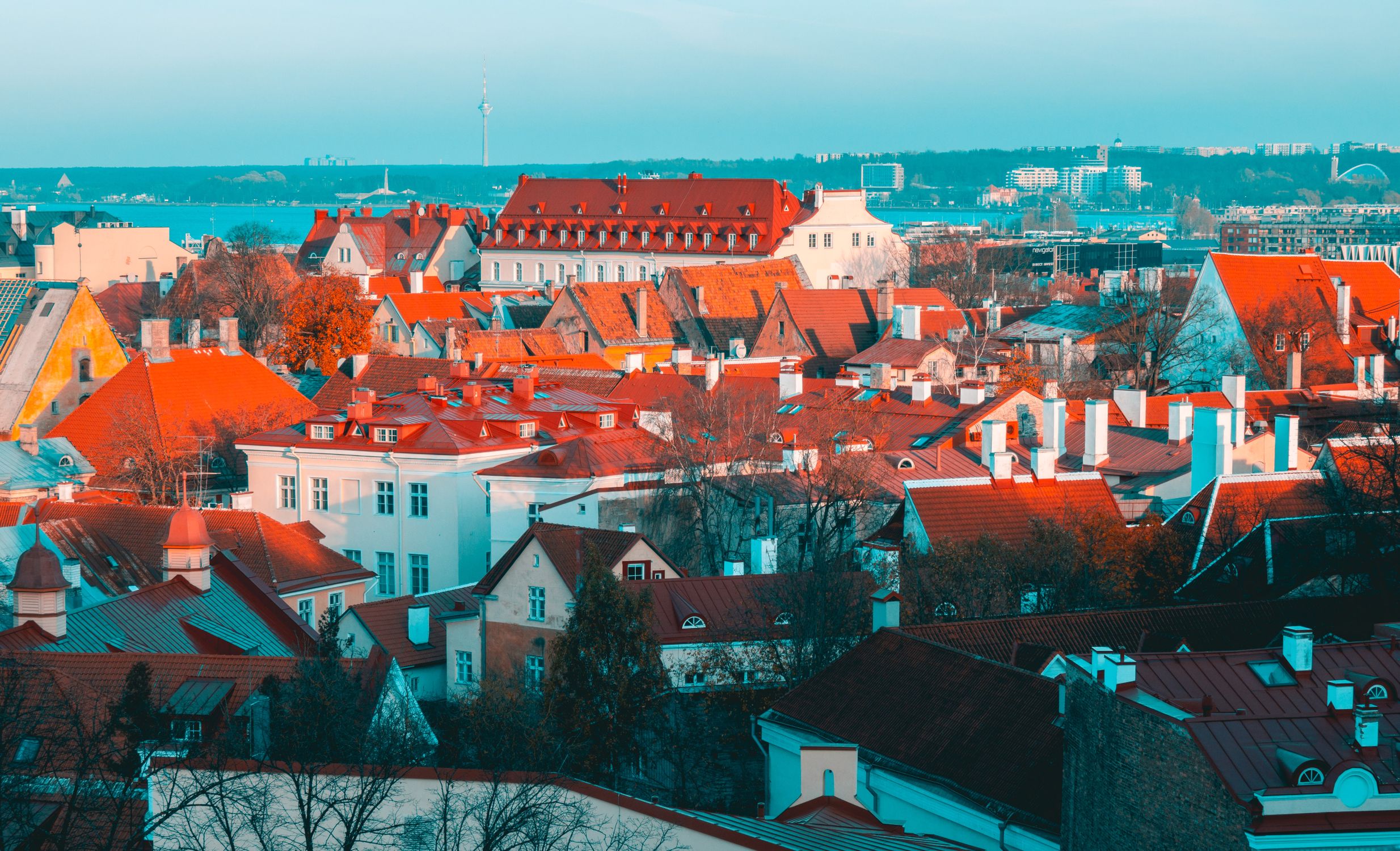 A vibrant aerial view of Tallinn's historic rooftops in Estonia, showcasing rich architectural detail.