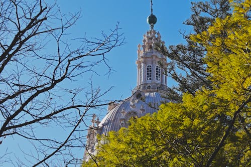 Immagine gratuita di alberi, architettura, calcestruzzo