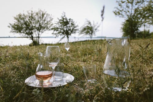 Прозрачный стеклянный кувшин и бокал для вина на траве в дневное время
