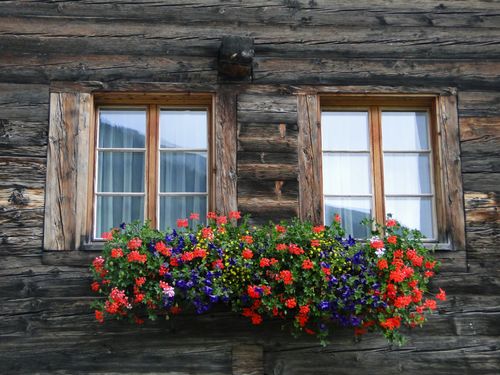 Free Charming rustic wooden facade with vibrant red and blue flowers beneath twin windows in Switzerland. Stock Photo