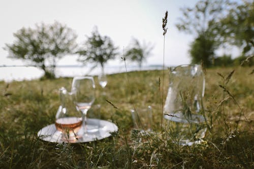 Бесплатное стоковое фото с бокал вина, винные бокалы, вино