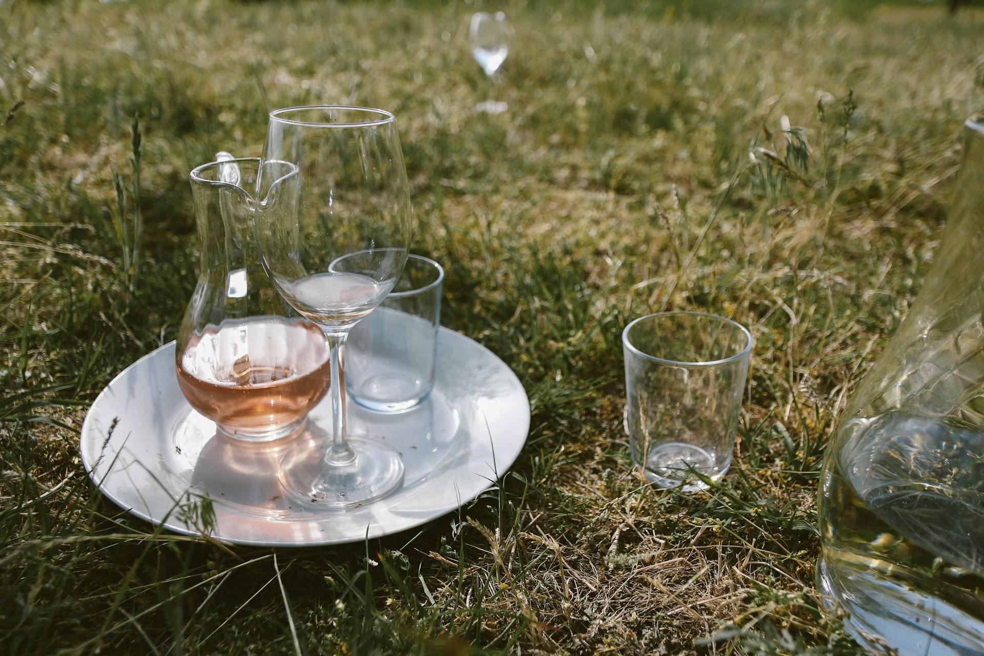 A picturesque outdoor picnic setting featuring wine glasses and a pitcher on a tray, set on grass.