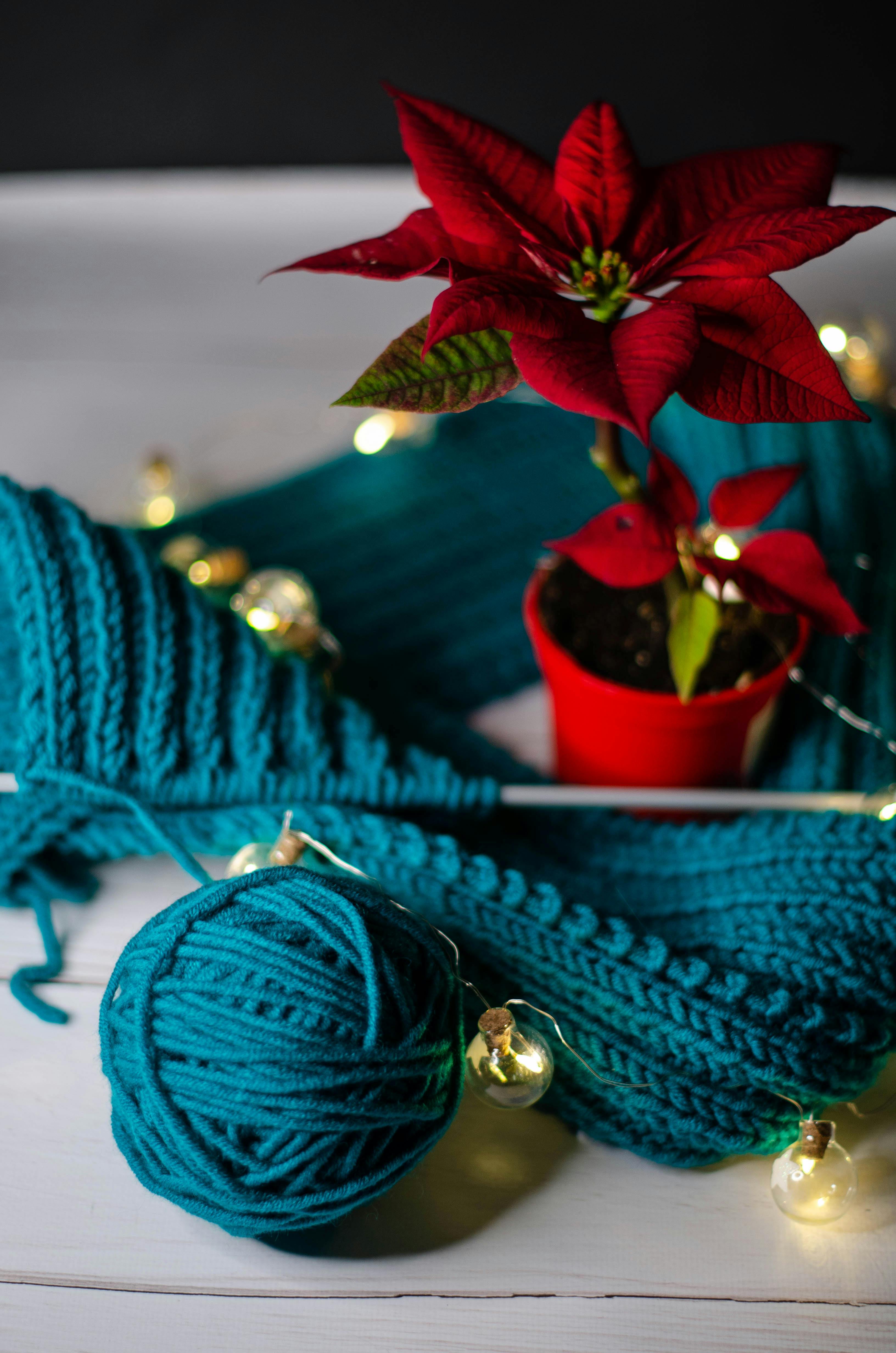 turquoise knitting work with ball of wool and red poinsettia in flower pot