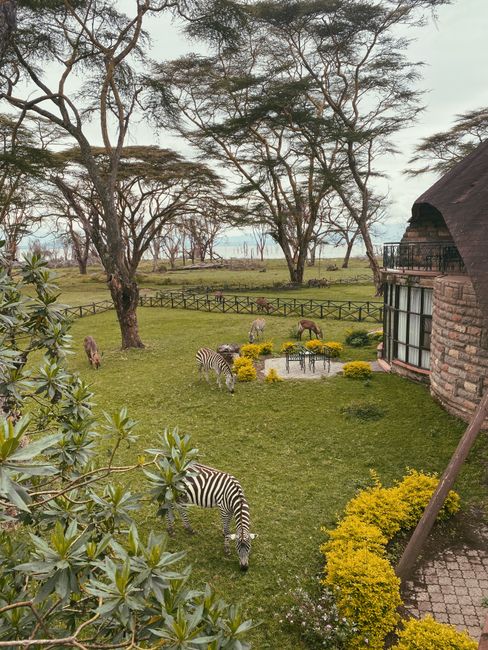 Luxury safari lodge in Kenya