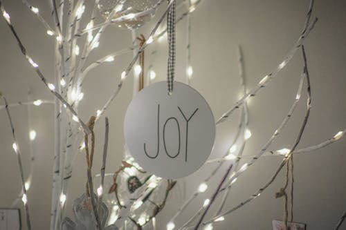 Close-up of a Christmas Ornament with a Word "Joy"