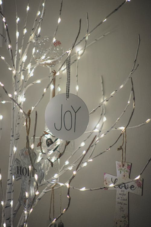 クリスマスツリー, クリスマスの灯り, デコレーションの無料の写真素材