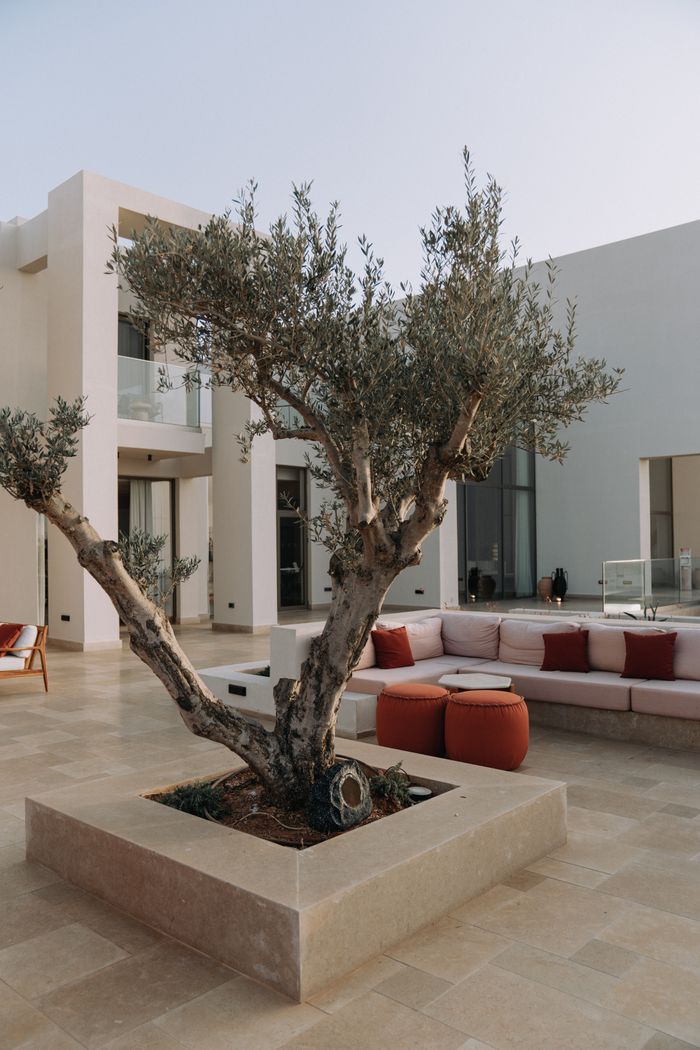 Patio area within a landscape design