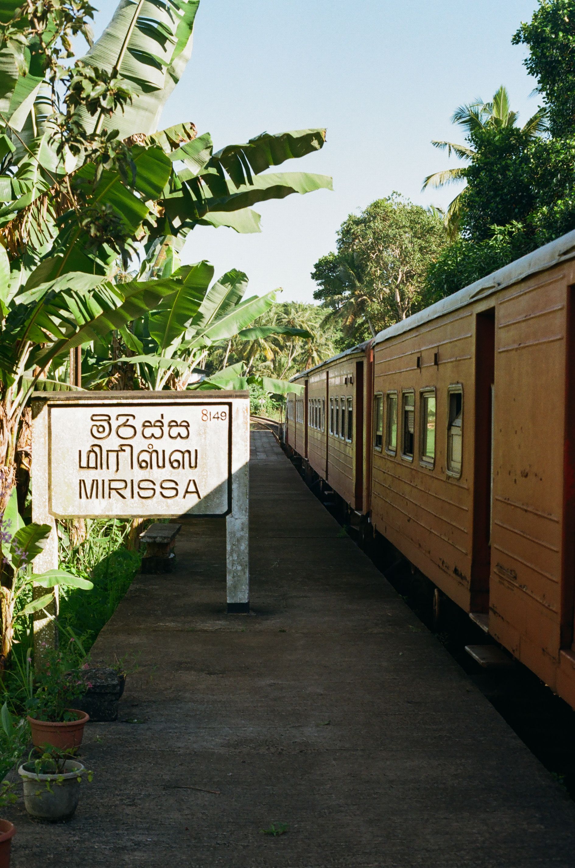 Tropical greenery surrounds the Mirissa railway station platform with a parked train under clear skies.