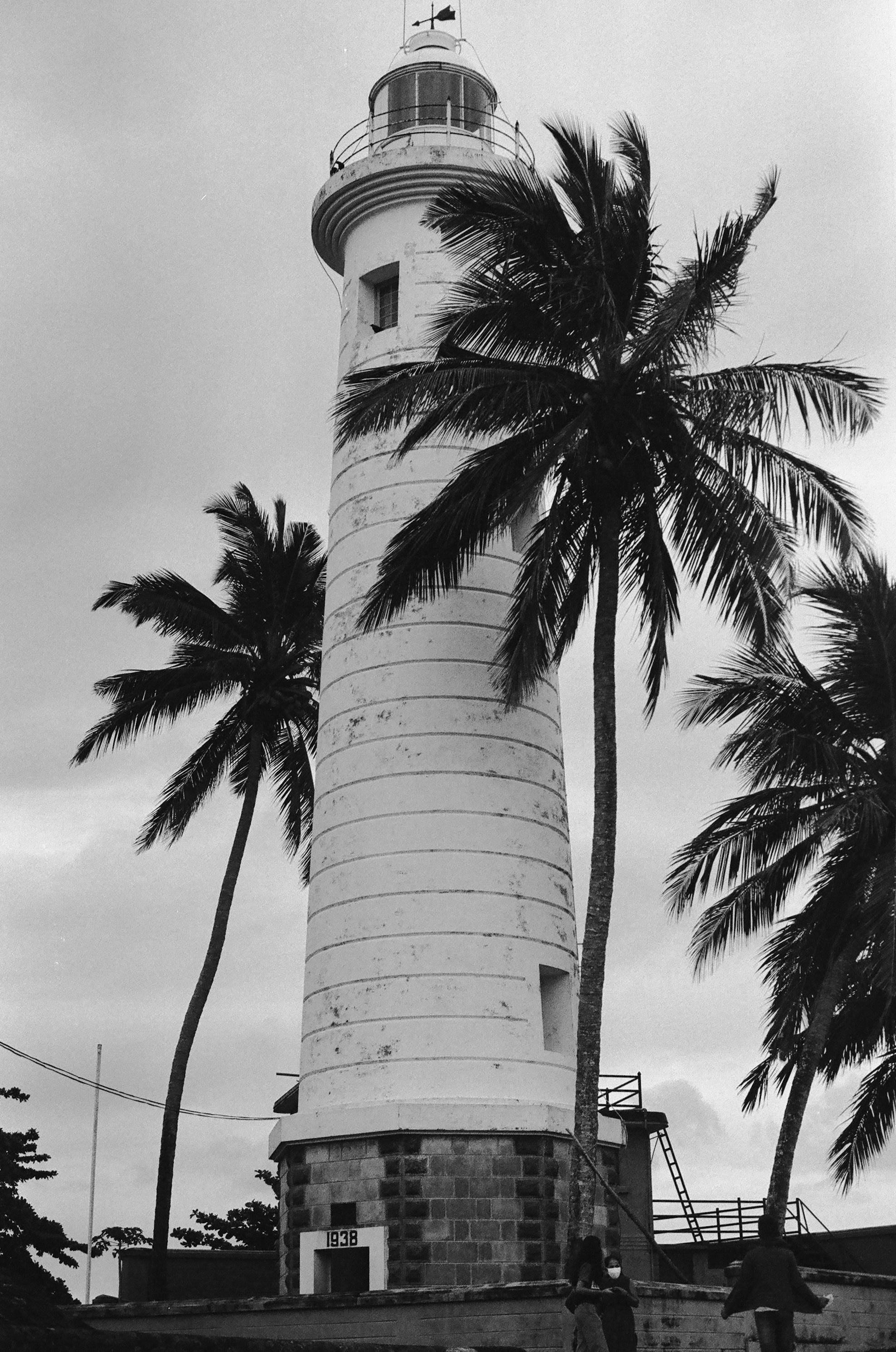 Iconic lighthouse with palm trees, perfect for navigation-themed designs.