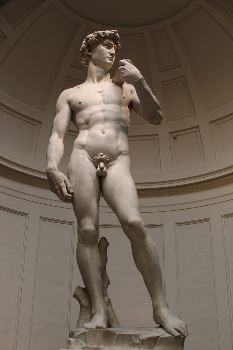 
The David Of Michelangelo