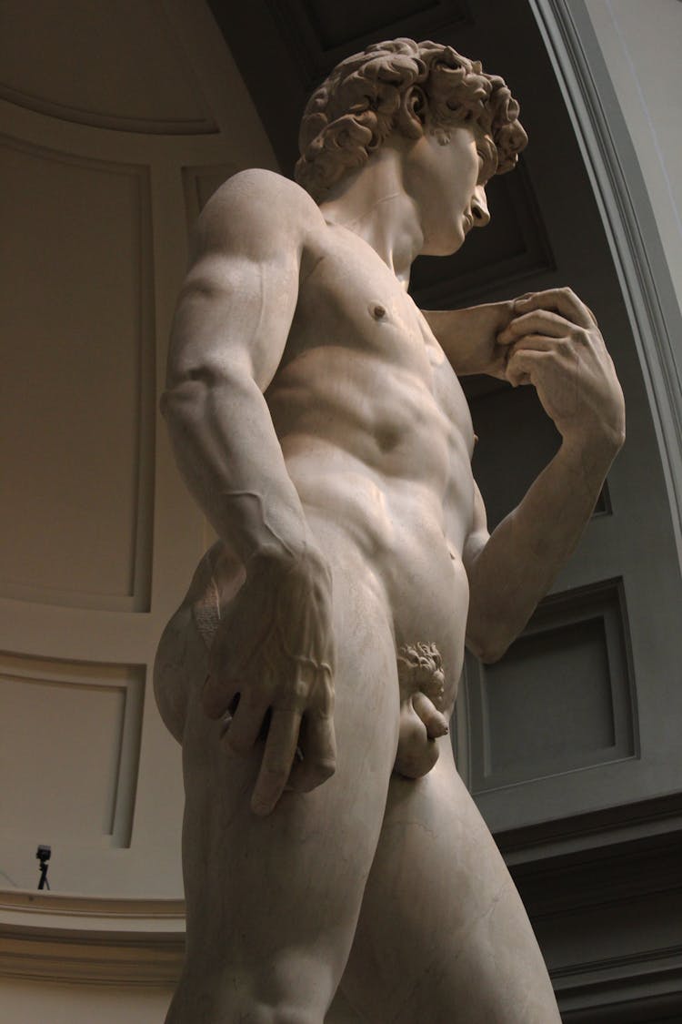 
The David Of Michelangelo