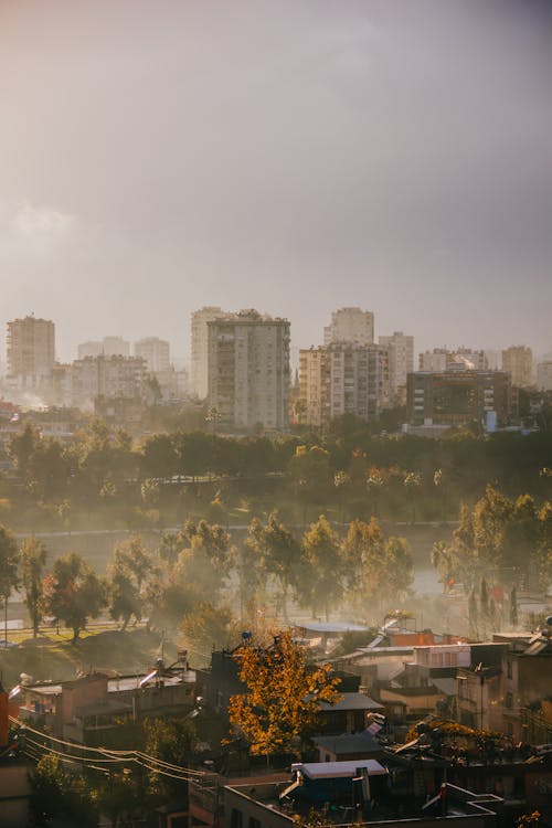 City Skyline Under Gray Sky