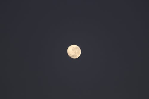 Gratis Fotos de stock gratuitas de astrofotografía, astronomía, fondo de luna Foto de stock