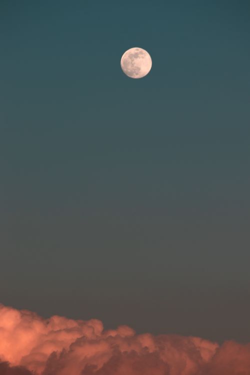 Free A stunning view of the full moon against a twilight sky, with clouds illuminated by warm light. Stock Photo