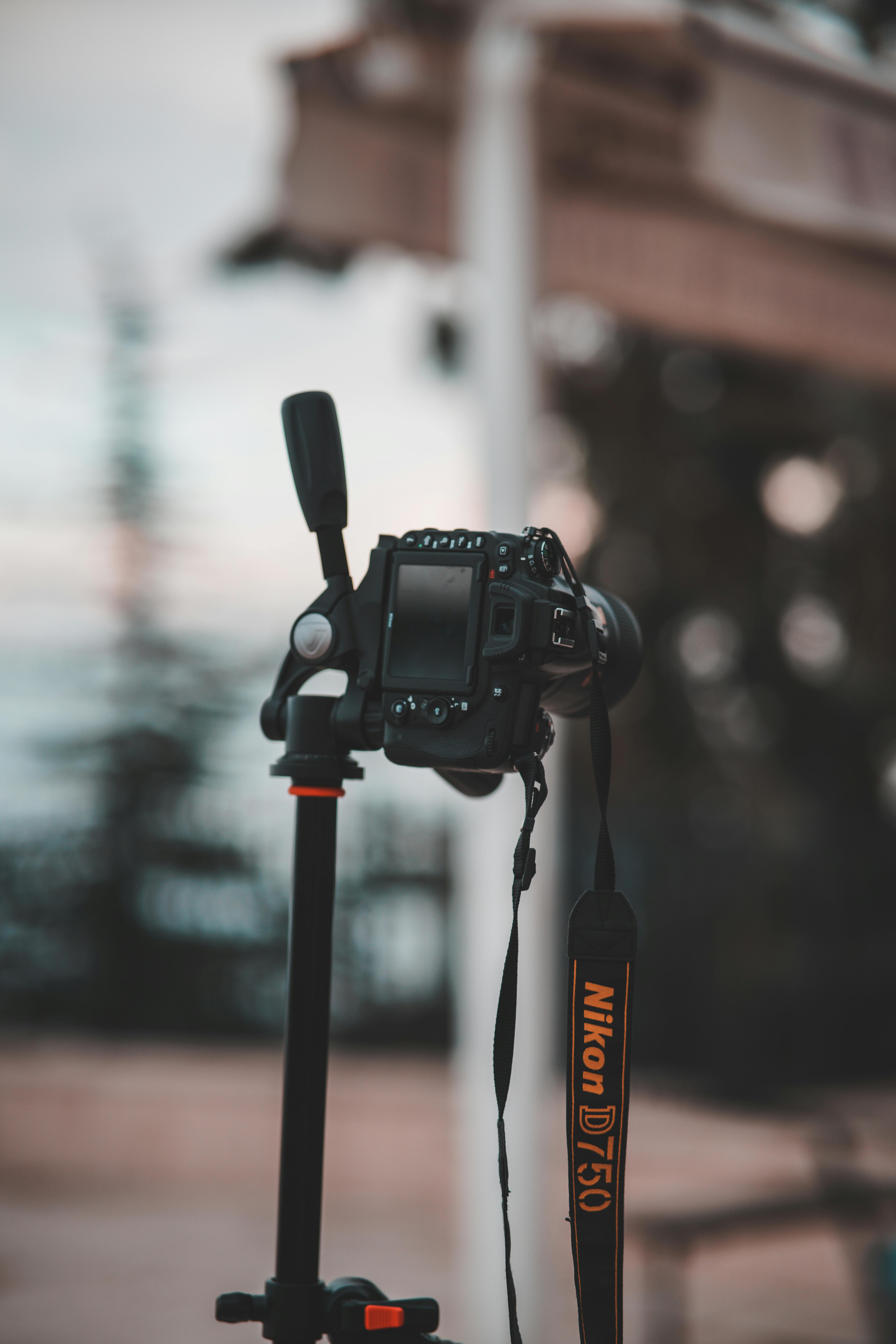 Close-up of a Nikon DSLR camera mounted on a tripod outdoors, ideal for professional photography.