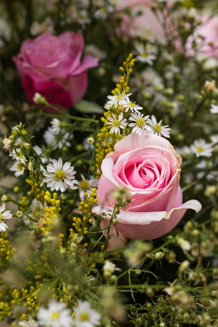 Pink Roses With Tiny White Daisies And Yellow Flowers 