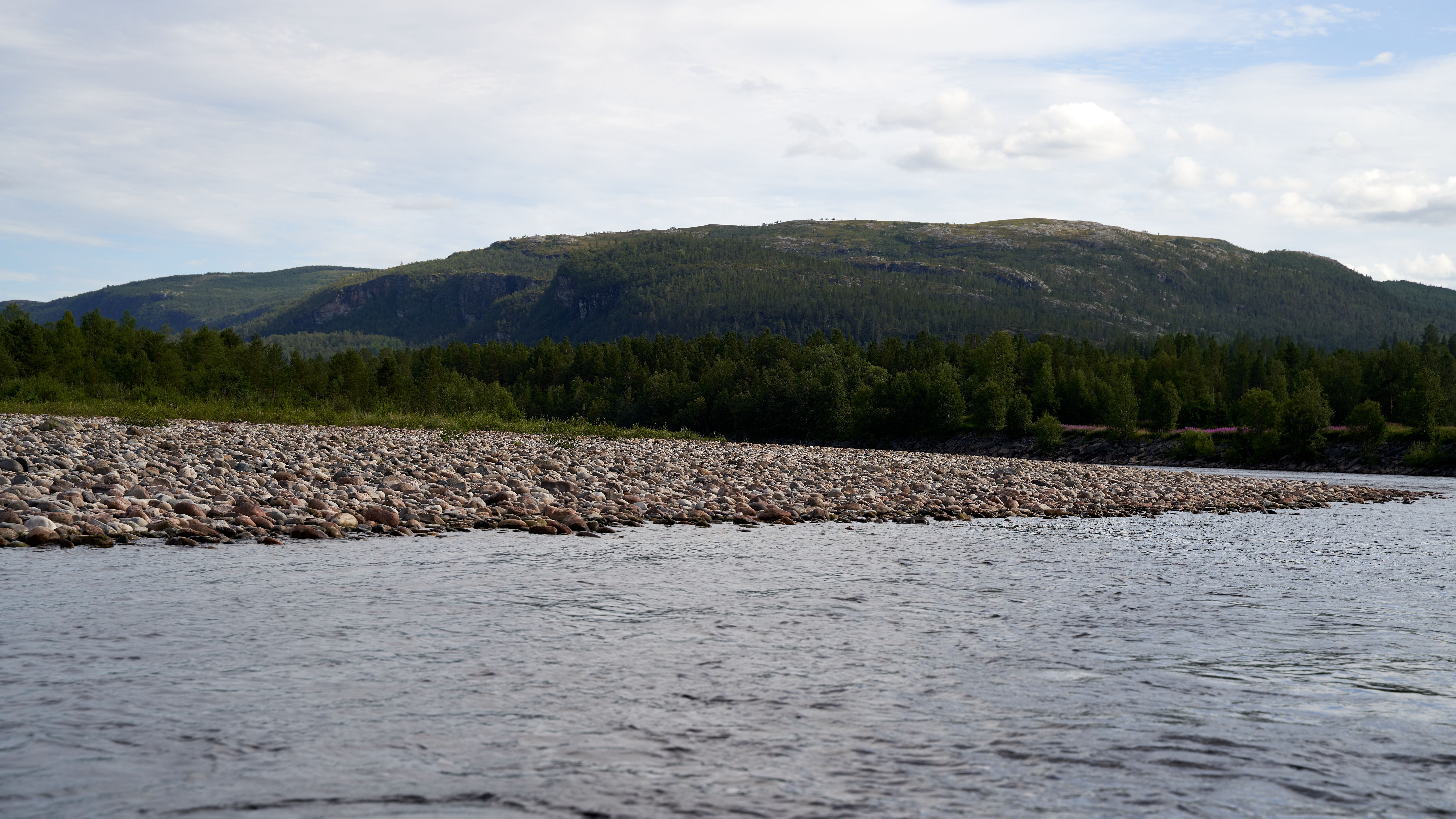 Kobuk River Gravel Bar Walk