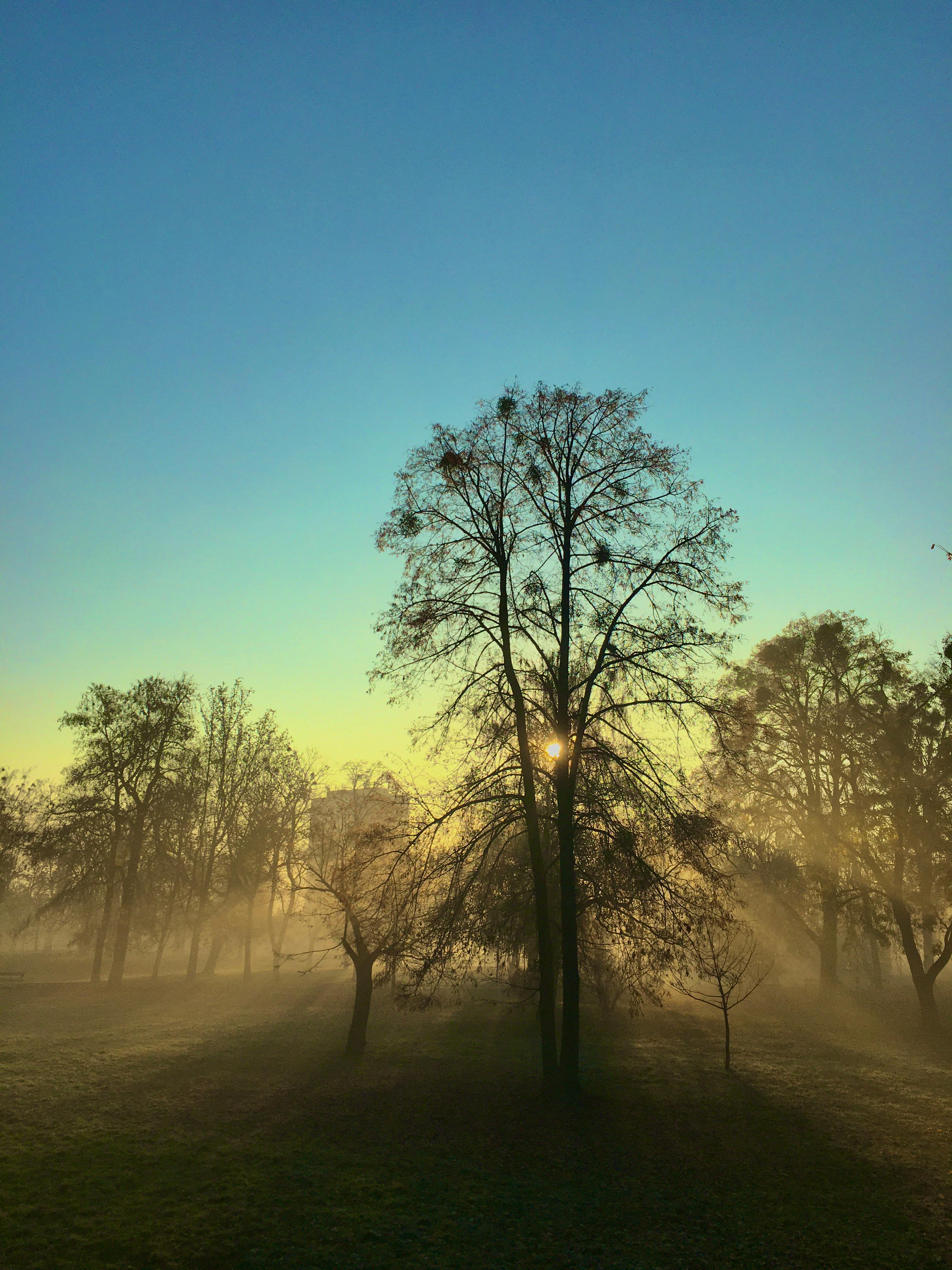 Free stock photo of aesthetic desktop wallpaper, aesthetic wallpaper, android wallpaper by Sun Pixel Photography