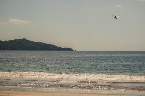 Photos gratuites de à la plage, arrière-plan, contexte 2020