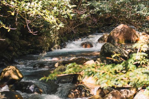 Free Serene view of a river flowing through a lush forest in Costa Rica, Guanacaste Province. Stock Photo