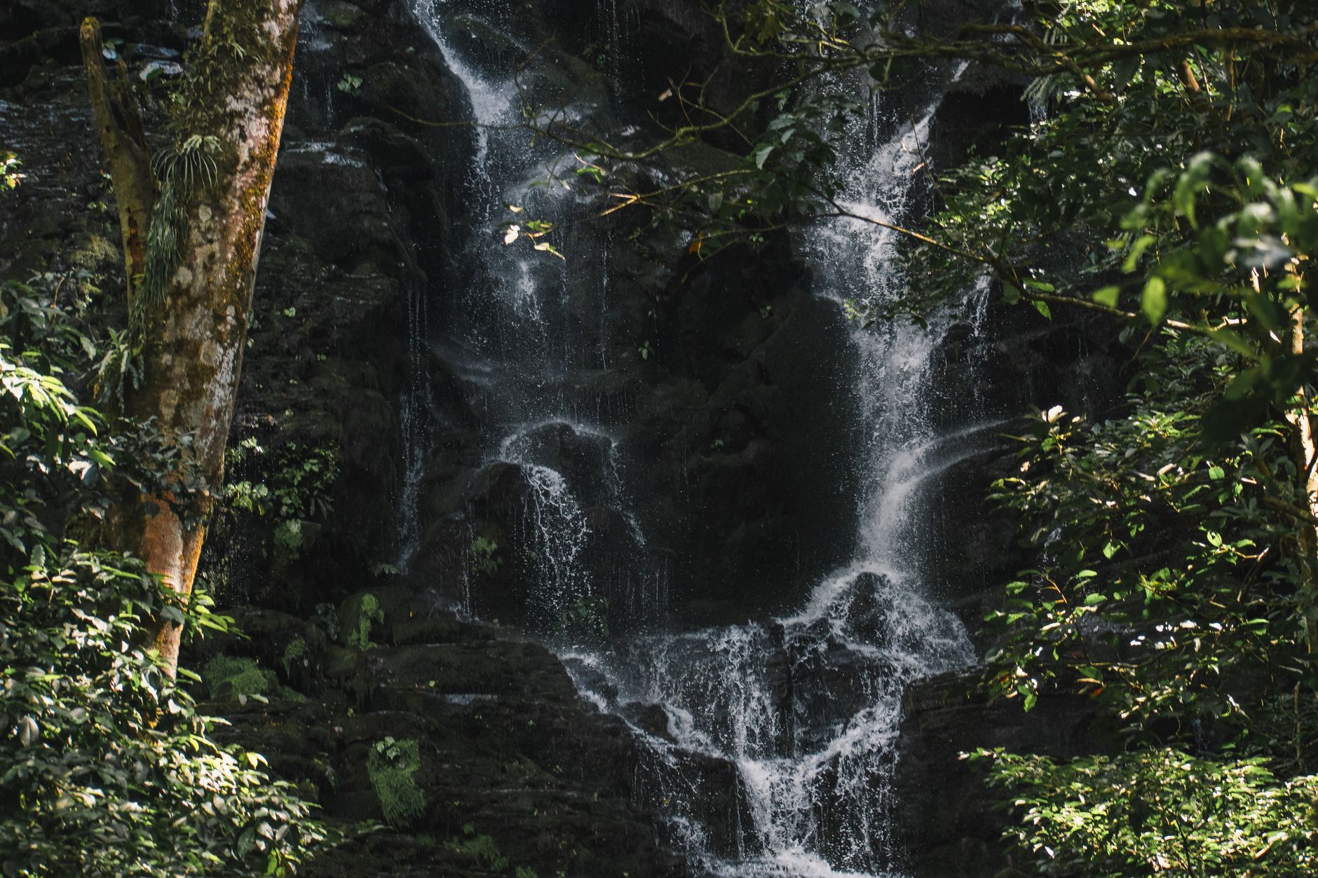 Cascada entre vegetación tropical en Guanacaste, Costa Rica