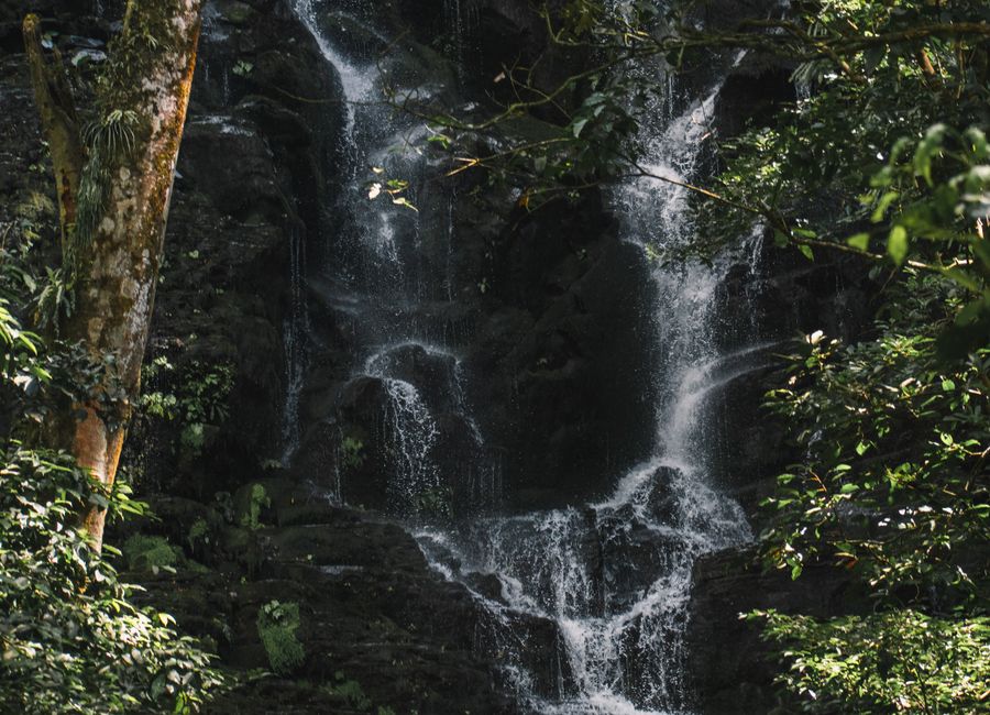 A serene waterfall cascades through dense forest greenery in Guanacaste, Costa Rica.